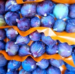 Ortofrutta Primizie Danilo, Corsico orari di apertura
