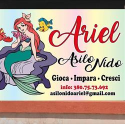 Asilo Nido Ariel, Brindisi orari di apertura