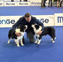 Allevamento Collie e Border Collie Paradise Collies, Barletta orari di apertura