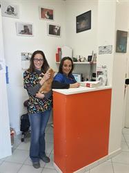 Ambulatorio Veterinario Associato Dott.sse Ferreri&Squassino, Chieri orari di apertura