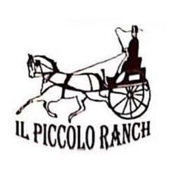 Asd Il Piccolo Ranch, Martina Franca orari di apertura