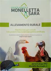 SOCIETA' AGRICOLA MONELLETTA SARA Perugia, Sant'enea - Orari di apertura
