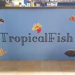 TropicalFish Livorno, orari di apertura
