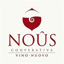 Cooperativa VINO NUOVO, Soave orari di apertura