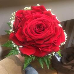 Floricoltura San Felice, Gorlago orari di apertura