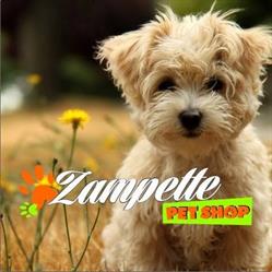 Zampette Pet Shop, Siniscola orari di apertura
