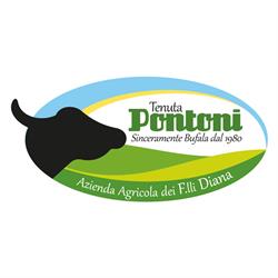 Tenuta Pontoni Diana, Vitulazio orari di apertura