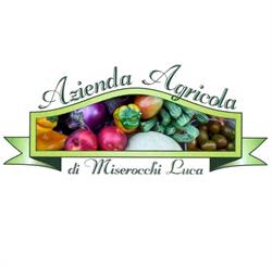 Azienda Agricola Miserocchi, Ravenna orari di apertura