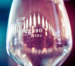 Pegaso Wine & Ristocafè, Selvazzano Dentro orari di apertura