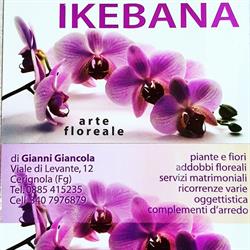 Ikebana di Giancola Giandonato, Cerignola orari di apertura