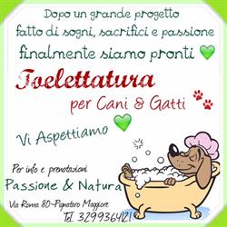 Passione e Natura Di Quintavalle Mario, Pignataro Maggiore orari di apertura