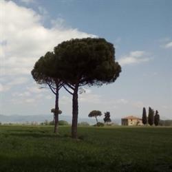 BEDandBIKING.EU, Terontola orari di apertura