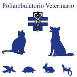 Ars Medica Veterinaria, Siracusa orari di apertura