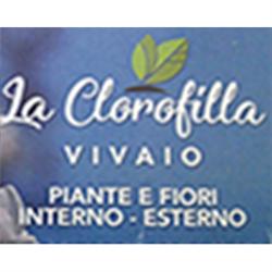 Vivai piante e fiori La Clorofilla, San Giovanni la Punta orari di apertura