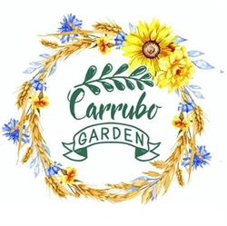Il Carrubo, Piano di Sorrento orari di apertura