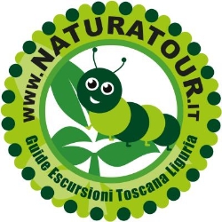 Naturatour T.O. - Trekking Escursioni in Toscana e Liguria, Uliveto Terme orari di apertura