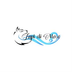 Lupi di Mare, Montesilvano orari di apertura