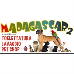 Madagascar 2, Taranto orari di apertura