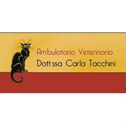 Ambulatorio Veterinario Dott.Sse Carla Tacchini e Julianna Boldizzoni, Clusone orari di apertura