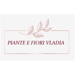 Piante e Fiori Vladia, Roma orari di apertura