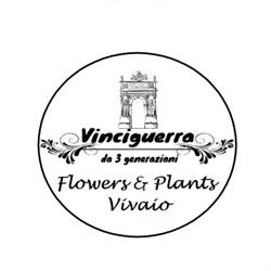 Vivaio Vinciguerra Flowers, Benevento orari di apertura