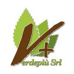 Verdepiù, Sissa orari di apertura