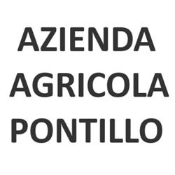 Erbe di Lucania, Tricarico orari di apertura