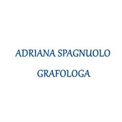 Adriana Spagnuolo Grafologa, Roma orari di apertura