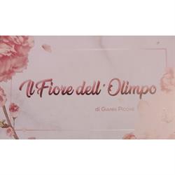 Il Fiore dell'Olimpo di Gianni Picone, Grotte orari di apertura