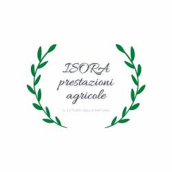 Isora Prestazioni Agricole di Grassi Samuele, Borgo San Lorenzo orari di apertura