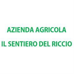 Azienda Agricola Biologica Il Sentiero del Riccio, Sicignano degli Alburni orari di apertura