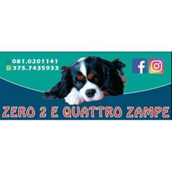 Zero 2 e Quattro Zampe, Napoli orari di apertura