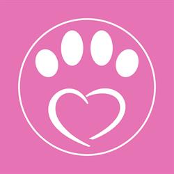 Fashion Dog Boutique Rivoli, orari di apertura