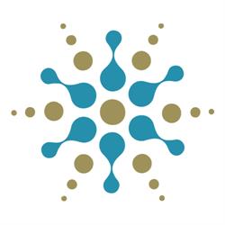 Cryolife, Roma orari di apertura