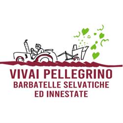 Vivai Pellegrino - Barbatelle Selvatiche ed Innestate, Otranto orari di apertura