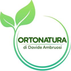 Ortonatura di Davide Ambruosi, Malalbergo orari di apertura
