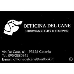 Toelettatura Officina del cane, Catania orari di apertura