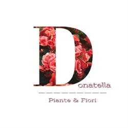 Donatella Piante e Fiori, Ostra Vetere orari di apertura