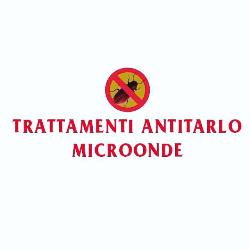 Trattamento Antitarlo Lecce e Provincia, Galatone orari di apertura