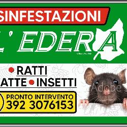 L'Edera Servizi, Verbania orari di apertura