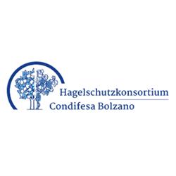 Consorzio Difesa Grandine, Bolzano orari di apertura
