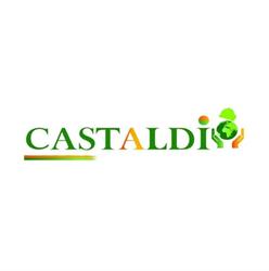 Castaldi S.R.L., Cassino orari di apertura