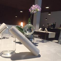 RISTORANTE NOVAVITA, Boara Pisani orari di apertura