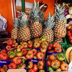Fruttolandia Torino, orari di apertura