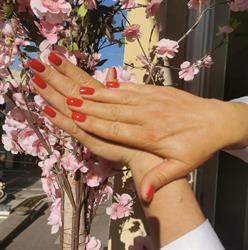 Gargano Hair Couture & Spa, Cosenza orari di apertura