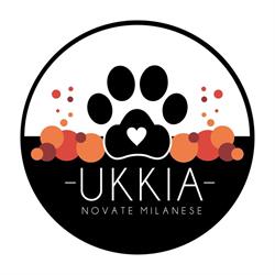 Ukkia Pet Shop Novate Milanese, orari di apertura
