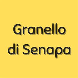 Granello di Senapa, Prato orari di apertura