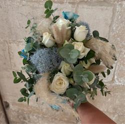 FIORI E PIANTE ORNAMENTALI, San Ferdinando di Puglia orari di apertura