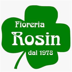 Fioreria Rosin, Vedelago orari di apertura