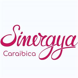 SINERGYa caraibica, Viterbo orari di apertura